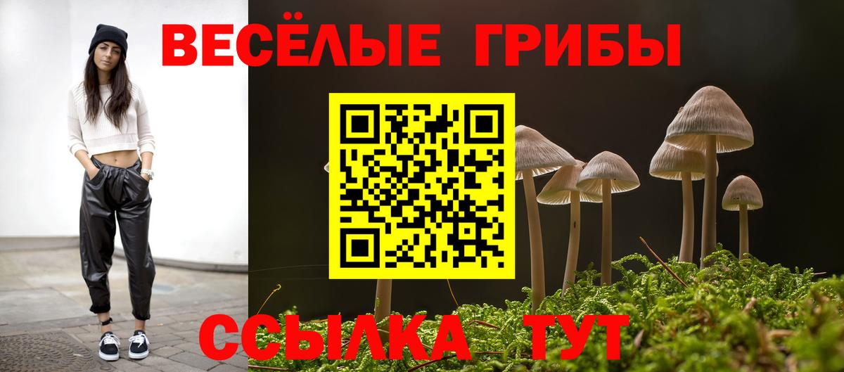 Псилоцибиновые грибы ЛСД  Вход с VPN  Псилоцибиновые грибы MAGIC MUSHROOMS  Кемерово 